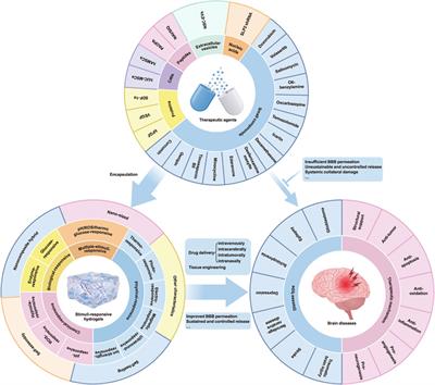 Application of stimuli-responsive hydrogel in brain disease treatment